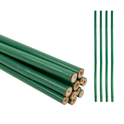Bahçecilik / Açık Hava için Hava Duruma Karşı Plastik Kaplı Bambu Çubuğu