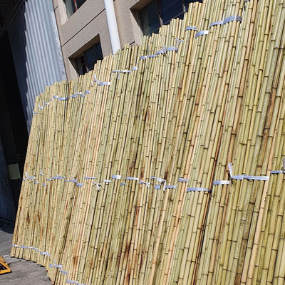 Bitki desteği için Tonkin Bambu Çubuk 6mm-30mm çapında