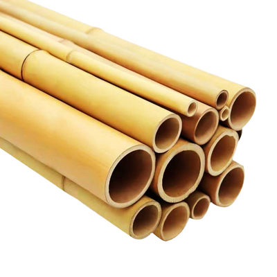 595cm Uzun Moso Bambu direği çevre dostu Düz ve sağlam Bahçe Yapısı için Bambu hammaddesi