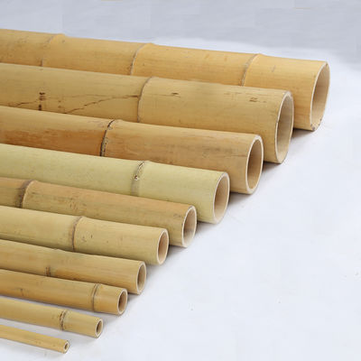 595cm Uzun Moso Bambu direği çevre dostu Düz ve sağlam Bahçe Yapısı için Bambu hammaddesi