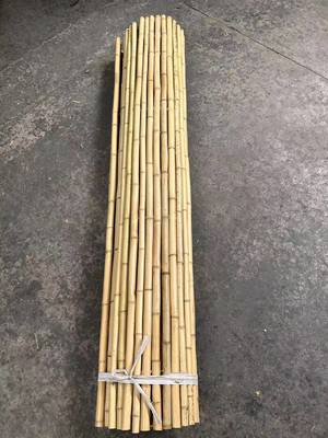 Modern Bambu Çit Kitsel Doğal Bahçe Çit & Patio Bölücü