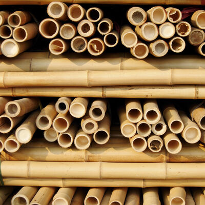 Eco-Friendly Customizable Size Bamboo Pole For Garden Plant Support With Antisepsis Treatment