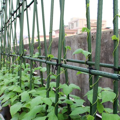 90cm L 8mm Diameter Plants Supporter Steel Cane New Design Plastic Coated Garden Trellis for Comfortable Greenhouses