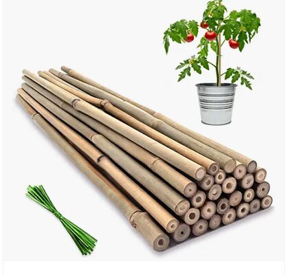 Bahçe Çubukları, 18 inç doğal bambu bitki çubukları, bükülmüş bağlarla bitki destek çubukları, domates, fasulye, çiçek, kaplı bitkiler, iç ve dış tırmanma bitkileri için bambu çubukları