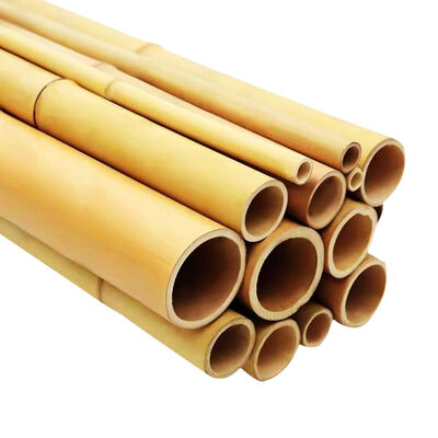 Plant Stakes Natural Garden Bamboo Sticks for Indoor and Outdoor, support for Tomatoes, Beans, Potted Plants