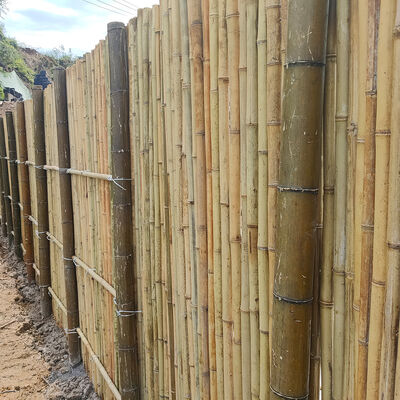 Bahçe ve peyzaj için su geçirmez ve dayanıklı doğal bambu çit rulo