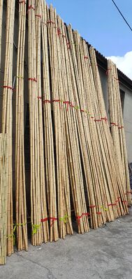Ekolojik Dekoratif Çiğ Bambu Polşeleri.0.8cm x 100cm Uzunluk