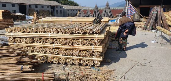 Ekolojik Dekoratif Çiğ Bambu Polşeleri.0.8cm x 100cm Uzunluk