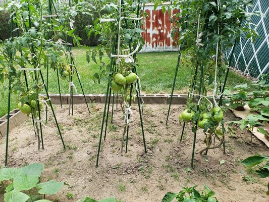 Plastik Kaplamalı Metal Kazıklar Bitki Destek Tesisi Tırmanma Peyzaj Eskrim için Yeşil Bahçe Kazıkları