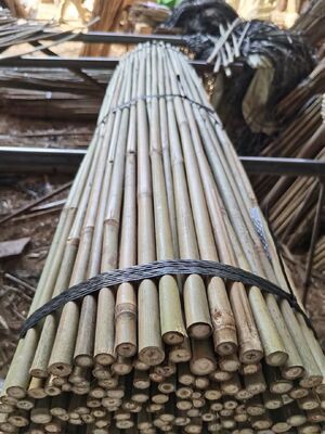 Sürdürülebilir Bambu Bahçe Kazıkları 6‑30mm | Tırmanma Tesisleri ve Sebze Kafesleri için Doğal Bambu Direkler