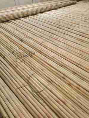 Sürdürülebilir Bambu Bahçe Kazıkları 6‑30mm | Tırmanma Tesisleri ve Sebze Kafesleri için Doğal Bambu Direkler